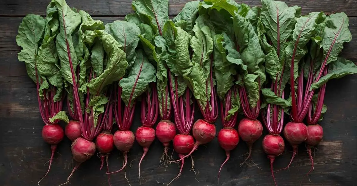 Beet Pickup Lines