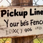 Fence Pickup Lines