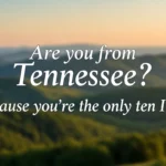 Geography Pickup Lines