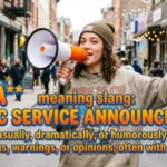 PSA Meaning Slang
