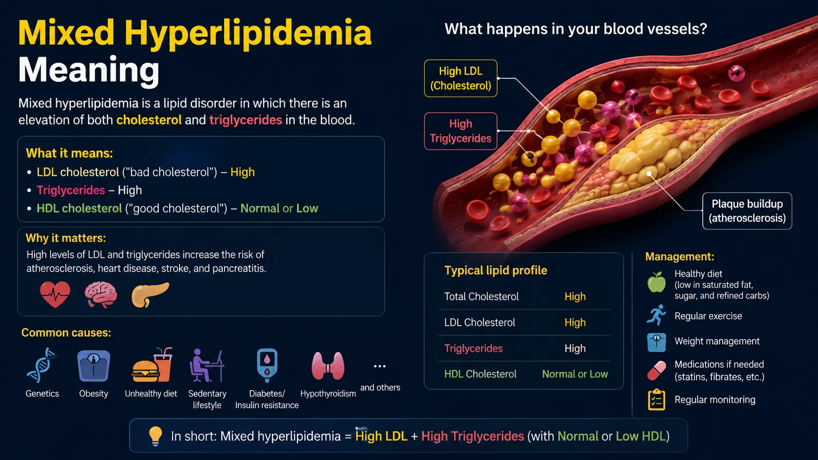 Mixed Hyperlipidemia Meaning